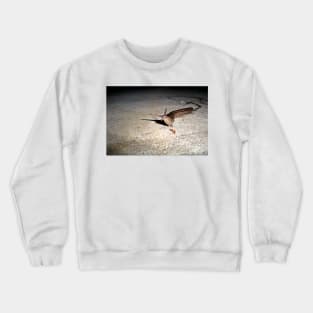 Oh,Hi! Crewneck Sweatshirt